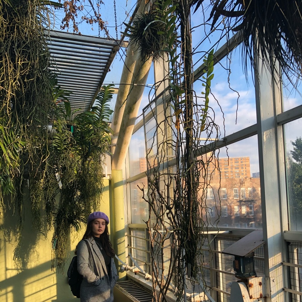 Meet your Posher, Julianna